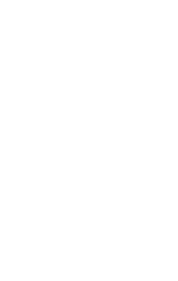 Smartway Partner Eco Efficient Fleet